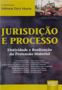 JURISDICAO E PROCESSO EFETIVIDADE E REALIZACAO DA PRETENSAO