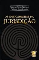 DESCAMINHOS DA JURISDICAO,OS-CONCEITO