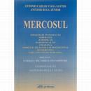 MERCOSUL-J.OLIVEIRA-SANTOS