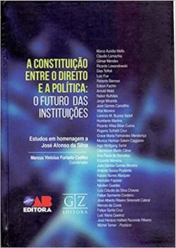 CONSTITUICAO ENTRE O DIREITO E A POLITICA,A