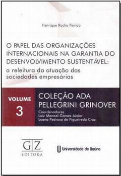 PAPEL DAS ORGANIZACOES INTERNACIONAIS NA GAR. DESENV. SUSTEN
