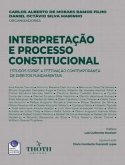 INTERPRETACAO E PROCESSO CONSTITUCIONAL: ESTUDOS SOBRE A EFETIVACAO CONTEMPORANEA DE DIREITOS FUNDAMENTAIS