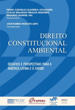 DIREITO CONSTITUCIONAL AMBIENTAL