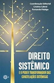 DIREITO SISTEMICO E O PODER TRANSFORMADOR DAS CONSTELACOES SISTEMICAS