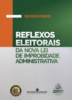 REFLEXOS ELEITORAIS NA NOVA LEI DE IMPROBIDADE ADMINISTRATIVA