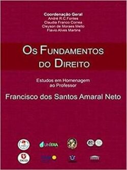 FUNDAMENTOS DO DIREITO - ESTUDOS EM HOMENAGEM AO PROFESSOR FRANCISCO DOS SANTOS AMARAL NETO