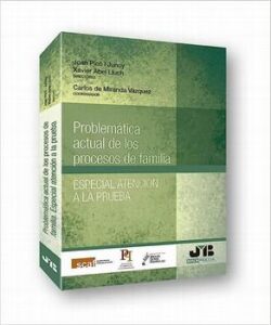 PROBLEMATICA ACTUAL DE LOS PROCESOS DE FAMILIA