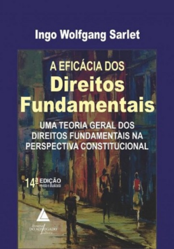 EFICACIA DOS DIREITOS FUNDAMENTAIS
