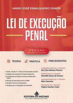 LEI DE EXECUCAO PENAL - TEORIA, PRATICA E PRECEDENTES