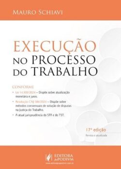 EXECUCAO NO PROCESSO DO TRABALHO