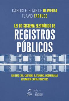 LEI DO SISTEMA ELETRONICO DE REGISTROS PUBLICOS