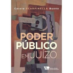 PODER PUBLICO EM JUIZO