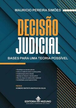 DECISAO JUDICIAL - BASES PARA UMA TEORIA POSSIVEL
