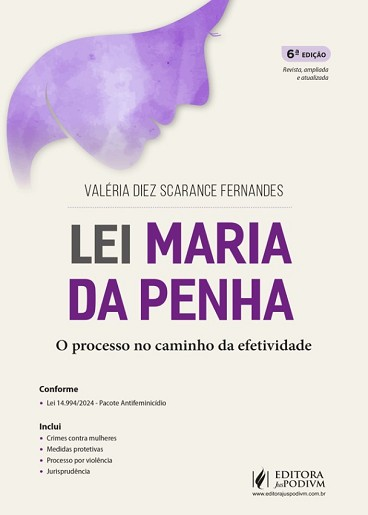 LEI MARIA DA PENHA - O PROCESSO NO CAMINHO DA EFETIVIDADE