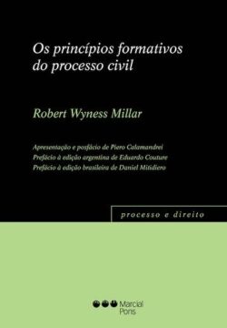 OS PRINCIPIOS FORMATIVOS DO PROCESSO CIVIL