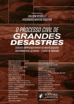 PROCESSO CIVIL DE GRANDES DESASTRES