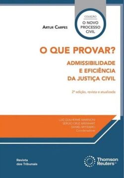 QUE PROVAR?,O - ADMISSIBILIDADE E EFICIENCIA DA JUSTICA CIVIL