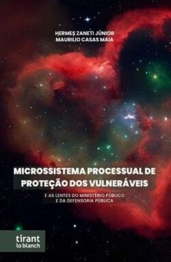 MICROSSISTEMA PROCESSUAL DE PROTECAO DOS VULNERAVEIS