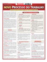 RESUMAO JURIDICO - NOVO PROCESSO DO TRABALHO