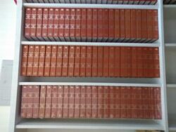 REVISTA DOS TRIBUNAIS-COLECOES 2001 A 2009-FALTA VOL.877(NOV-2008)