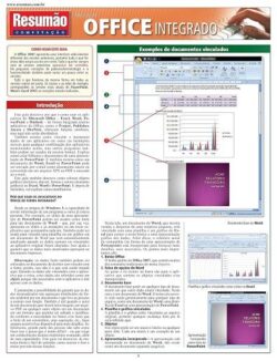 RESUMAO COMPUTACAO - OFFICE INTEGRADO