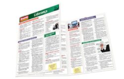 RESUMAO ADMINISTRACAO & NEGOCIOS - LIDERANCA