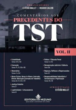 COMENTARIOS AOS PRECEDENTES DO TST - VOL. 2
