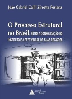 PROCESSO ESTRUTURAL NO BRASIL, O