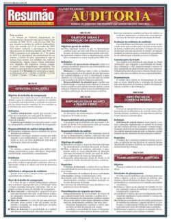 RESUMAO ADMINISTRACAO E NEGOCIOS 10 - AUDITORIA