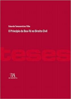 PRINCIPIO DA BOA-FE NO DIREITO CIVIL