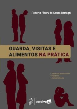 GUARDA, VISITAS E ALIMENTOS NA PRATICA