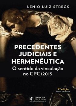 PRECEDENTES JUDICIAIS E HERMENEUTICA