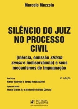 SILENCIO DO JUIZ NO PROCESSO CIVIL